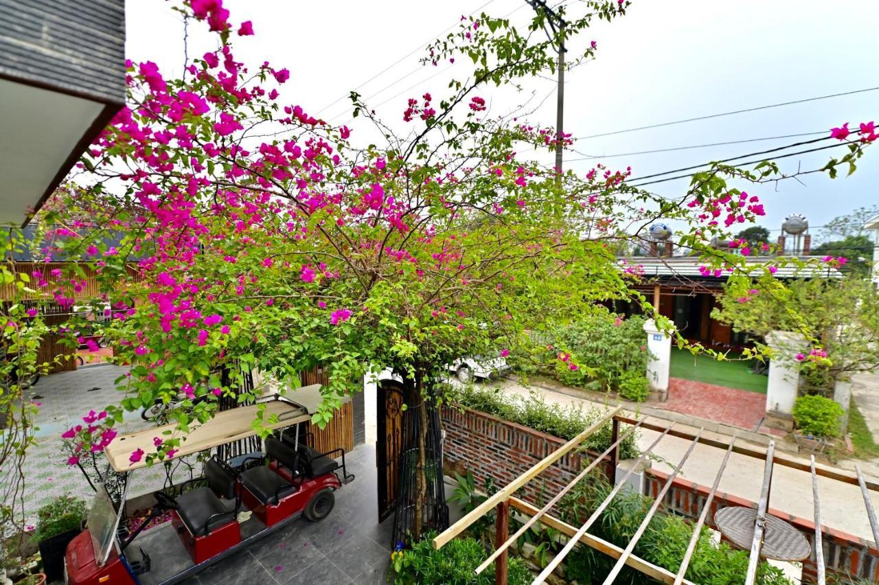 Coto Center Homestay Đảo Cô Tô Ngoại thất bức ảnh