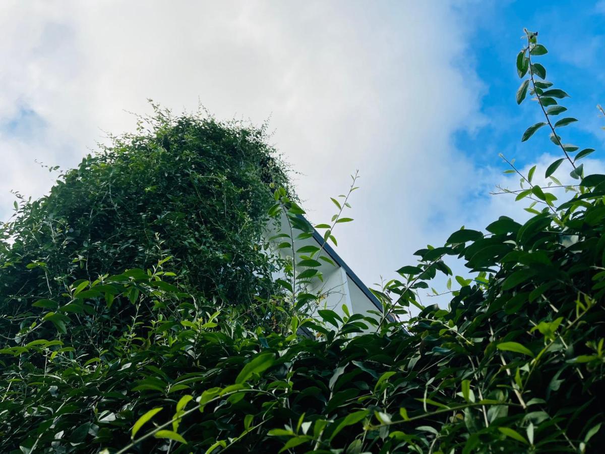 Coto Center Homestay Đảo Cô Tô Ngoại thất bức ảnh