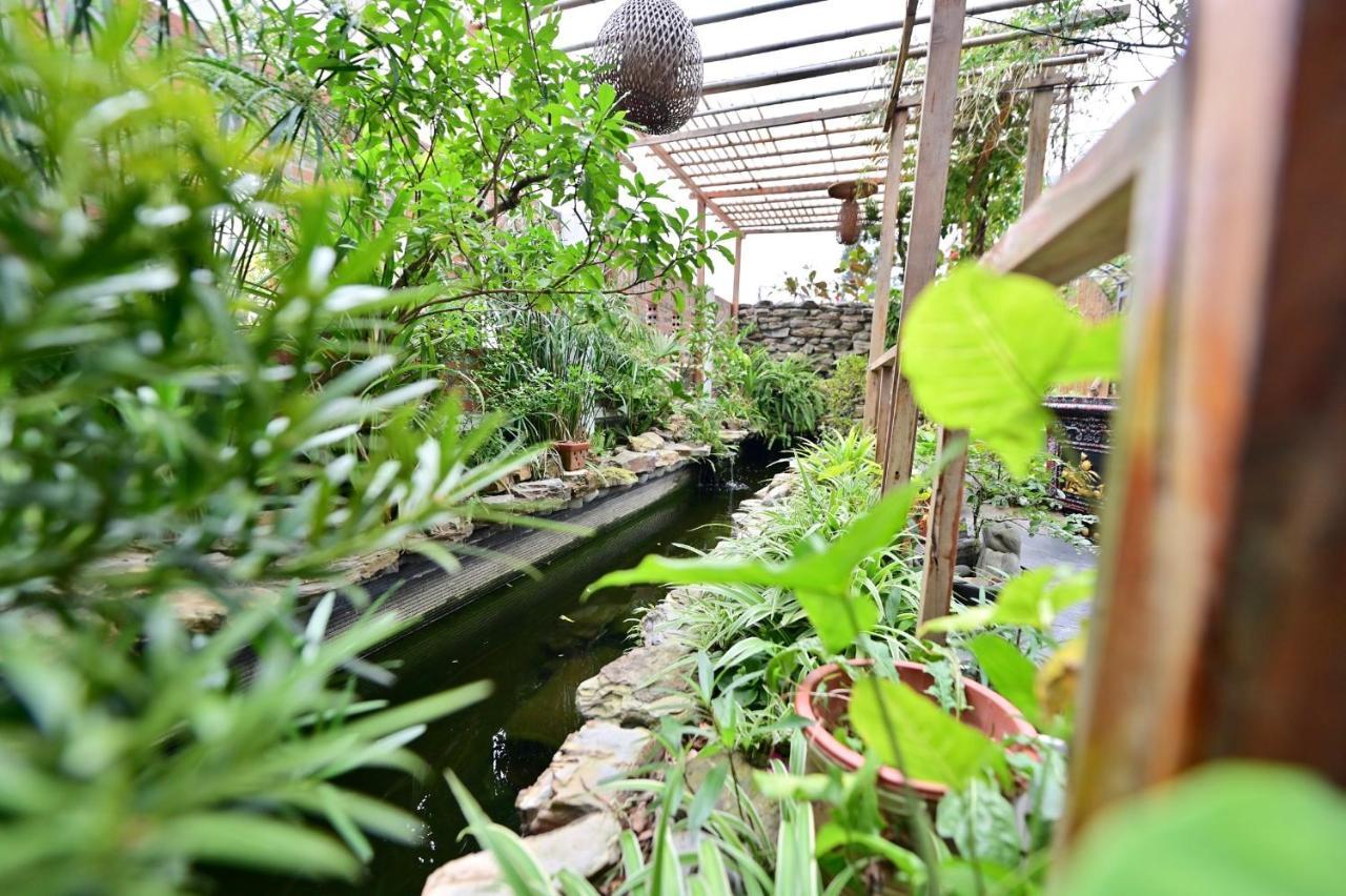 Coto Center Homestay Đảo Cô Tô Ngoại thất bức ảnh
